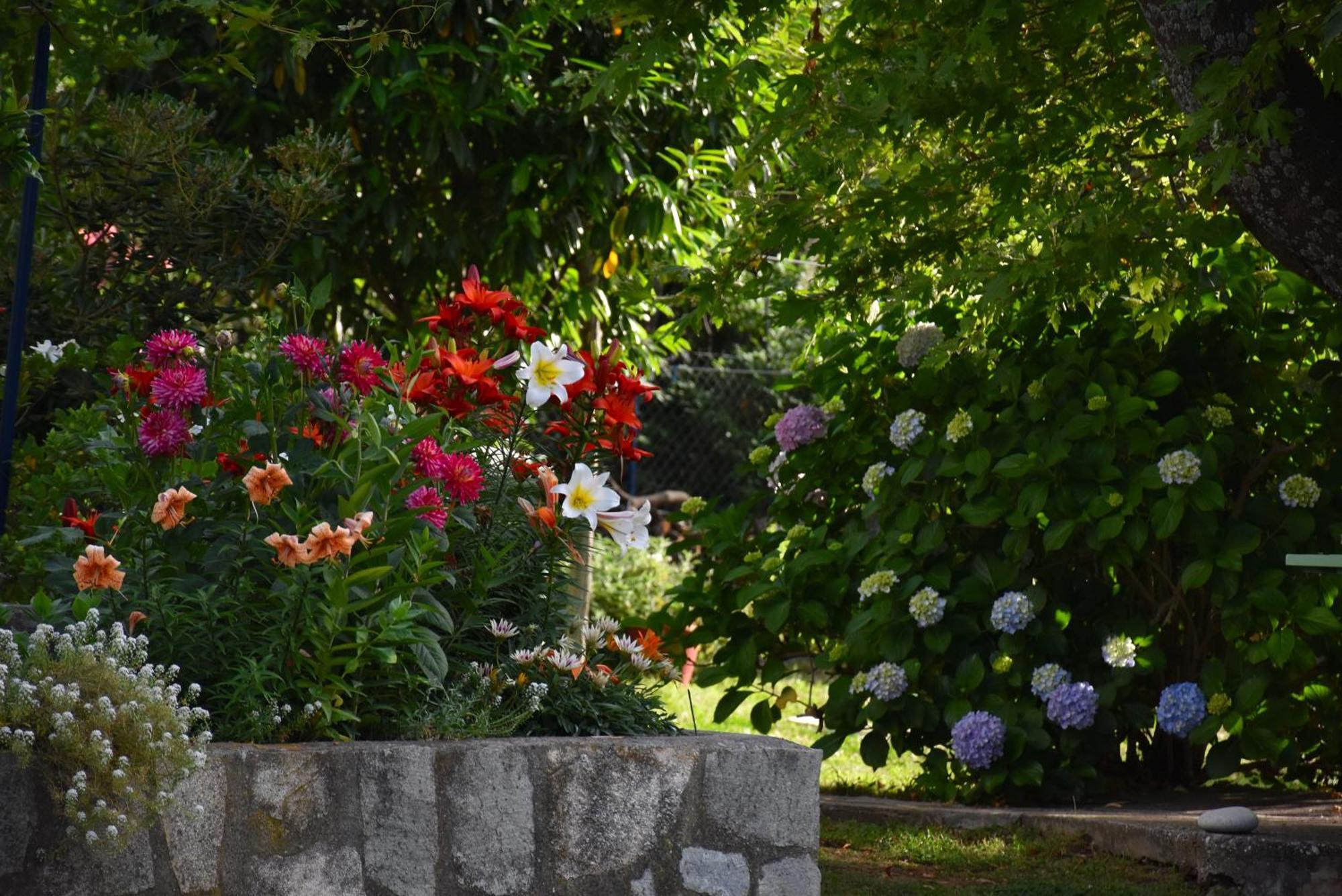 Mirsini Apartments Καρυώτες Εξωτερικό φωτογραφία