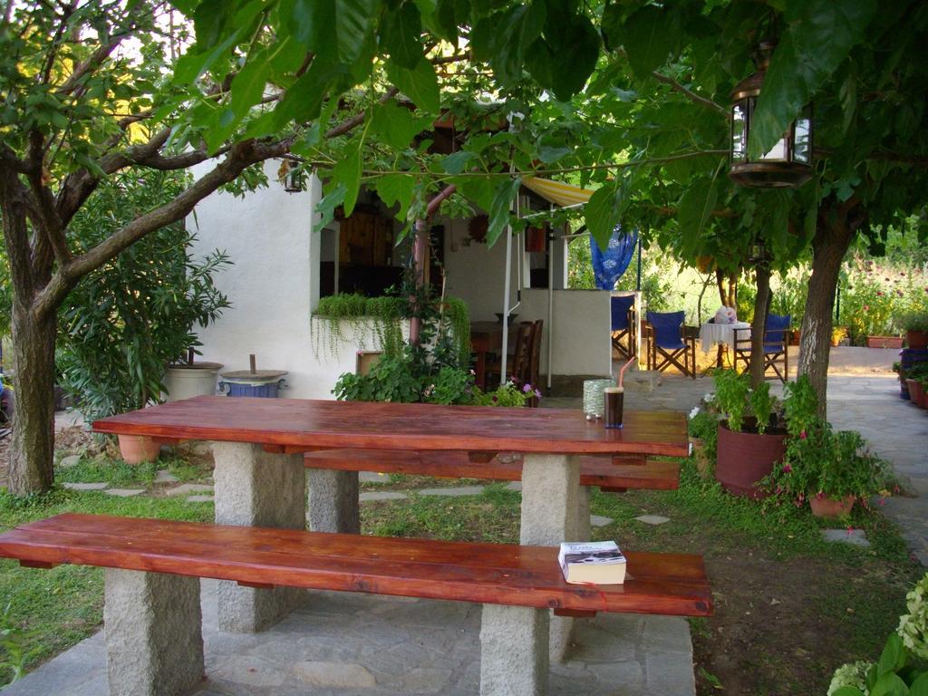 Mirsini Apartments Καρυώτες Εξωτερικό φωτογραφία